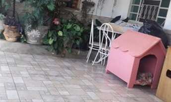 Imagem 2: QR 402 Ótimo Lote 150 M² com Casa 3 Quartos/Suite Escriturada