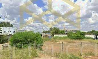 Imagem 4: área - Real Parque - Campinas