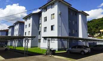 Imagem: JARAGUá DO SUL - Padrão - Rau