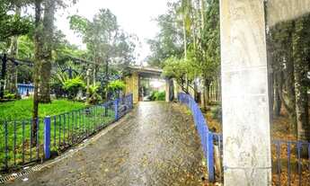 Imagem 4: Casa - Parque Taquaral - Campinas