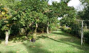 Imagem 5: FLORIANóPOLIS - Casa Padrão - João Paulo