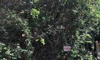 Imagem 2: Terreno ótimo preço na Praia de Pipa