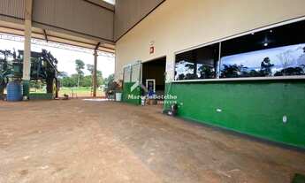 Imagem 4: Fazenda 6.400 hectares á venda município de Nova Mutum MT