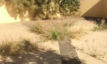 Imagem 6: GALPÃO - VILA PAGANO - SP