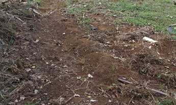 Imagem: Vende se terreno em rosário,cabo de Santo