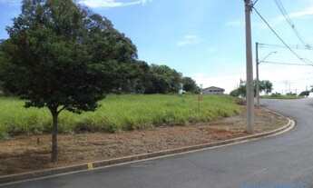 Imagem 3: TERRENO - MEDEIROS - SP