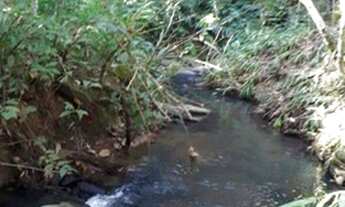 Imagem 5: Chácara 13.000 metros para venda área construída250 metros quadrados com 4 quartos