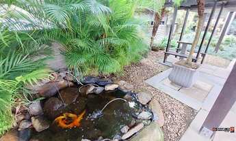 Imagem 3: NOVO HAMBURGO - Padrão - RIO BRANCO