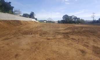 Imagem 7: área - Parque Camélias - Campinas