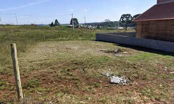 Imagem 2: Lote/terreno à venda em Lagoa Vermelha