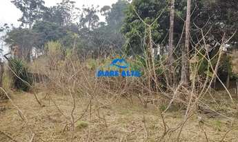 Imagem 2: Lindo Terreno com Edícula!