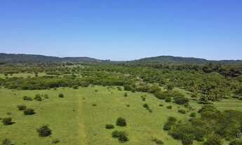 Imagem: Lote/terreno à venda em Viamão