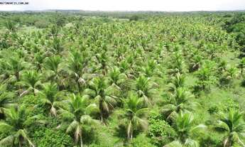 Imagem 5: Fazenda para Locação em Camaçari, Monte Gordo
