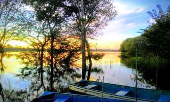Imagem: Sítio no Lago do Juma, Autazes-Am