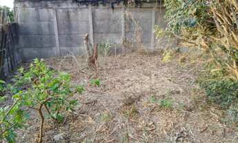 Imagem 3: Terreno 8x40 Terreno / lote com venda por R$50.000