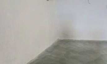 Imagem 7: Galpão para alugar, 300 m² por R$ 6.000,00/mês - Vila Virginia - São Paulo/SP