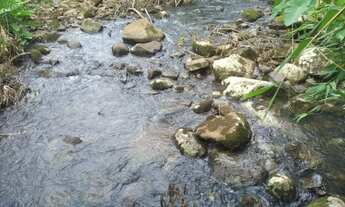 Imagem 2: VENDO CHACARA COM RIACHO NA CIDADE DE ROLANTE