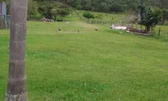 Imagem 2: AREA - RIBEIRÃO DA ILHA - SC