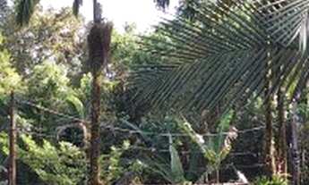 Imagem: Chácara para venda na praia com 1250 M²