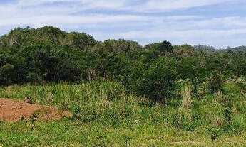 Imagem 7: Terreno à venda, 450 m² por R$ 370.000,00 - Vargem Do Bom Jesus - Florianópolis/SC