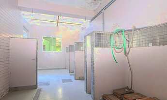 Imagem 4: PORTO ALEGRE - Casa Comercial - Auxiliadora