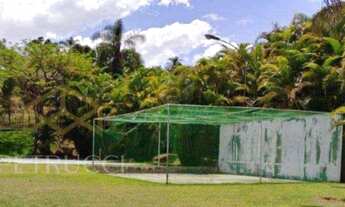 Imagem 6: Chácara - Peixe - Lindóia