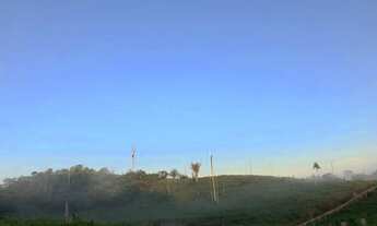 Imagem 4: Área de terra em Itaituba, PA