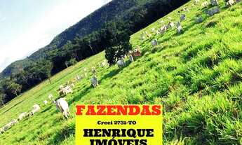 Imagem: Fazenda na região de Palmas sentido Aparecida