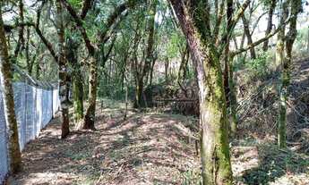 Imagem 6: Terreno à venda, 1038 m² por R$ 350.000,00 - Vila Inglesa - Campos do Jordão/SP