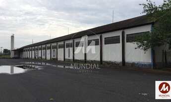 Imagem 3: Salão/Galpão (salão - térreo