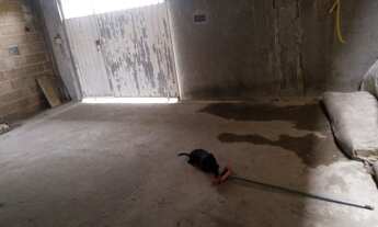 Imagem 6: Vendo Casa com 2 dormitórios