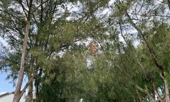 Imagem 3: Linda residência com 80 m², próximo ao mar, localizada no Baln. Marambaia - Arroio do Sal