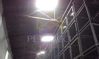 Imagem 6: Galpão - Vila Industrial - Campinas