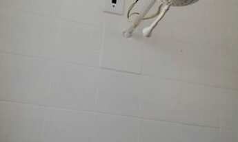 Imagem 4: Aluga-se casa na federação