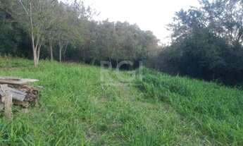 Imagem 2: Porto Alegre - Terreno Padrão - Vila Nova