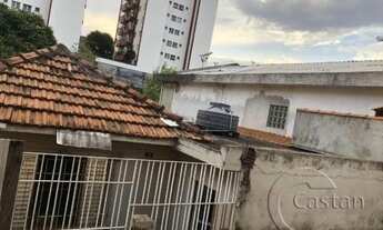 Imagem 2: SãO PAULO - Terreno Padrão - Vila Regente Feijó