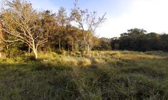 Imagem 5: Terreno para comprar no bairro Lageado - Porto Alegre