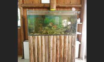 Imagem 4: LINDO SÍTIO NO SERTÃO DE SANTA LUZIA