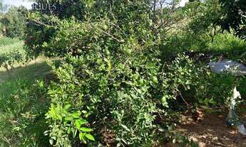 Imagem 5: Terreno à venda