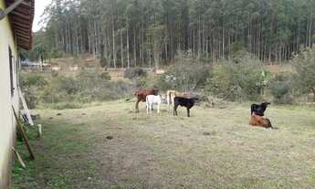 Imagem 3: Terrenos Terreno / lote com venda por R$111