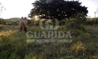 Imagem 3: Terreno para comprar no bairro Lageado - Porto Alegre