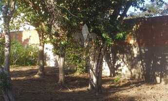 Imagem 5: Terreno no Pontal do Peró