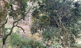 Imagem 5: Sítio - Champirra - Jundiaí