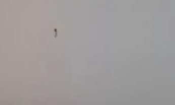 Imagem 6: Sobrado para aluguel 2 quartos 1 vaga Rudge Ramos - São Bernardo do Campo - SP