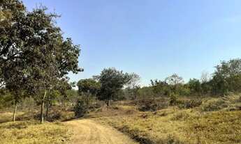 Imagem 3: 1 Alqueire, Energia, Córrego, Tanque de Peixe, Lado da Cachoeira Éden, Aragoiânia