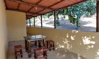 Imagem 7: Vende-se Linda Chácara, Ponte Alta Sul, Região do Gama, 20.000 metros