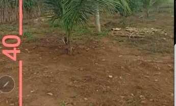 Imagem: Terreno na zona rural de coração de Maria-BA