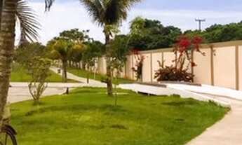 Imagem 7: Flat para aluguel com 12 metros quadrados com 1 quarto em Peró - Cabo Frio - RJ