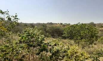 Imagem 4: 1 Alqueire, Energia, Córrego, Tanque de Peixe, Lado da Cachoeira Éden, Aragoiânia