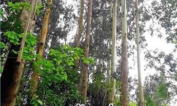 Imagem 4: Propriedade Rural em Atalanta SC